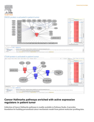 PDCD1 protein is activated in patient tumor
CTLA4 protein is activated in patient tumor
Cancer Hallmarks pathways enriched with active expression
regulators in patient tumor
Collection of Cancer Hallmarks pathways is readily available in Pathway Studio. It provides
foundation for building personalized cancer mechanistic model from patient molecular profiling data.
 