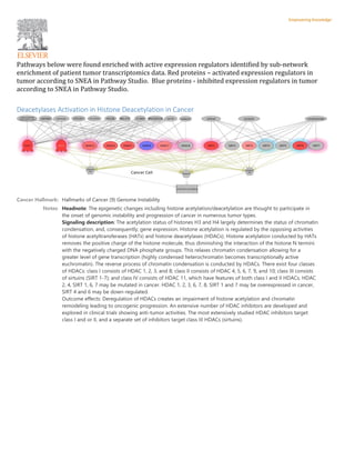 Pathways below were found enriched with active expression regulators identified by sub-network
enrichment of patient tumor transcriptomics data. Red proteins – activated expression regulators in
tumor according to SNEA in Pathway Studio. Blue proteins - inhibited expression regulators in tumor
according to SNEA in Pathway Studio.
Deacetylases Activation in Histone Deacetylation in Cancer
Cancer Hallmark: Hallmarks of Cancer (9) Genome Instability
Notes: Headnote: The epigenetic changes including histone acetylation/deacetylation are thought to participate in
the onset of genomic instability and progression of cancer in numerous tumor types.
Signaling description: The acetylation status of histones H3 and H4 largely determines the status of chromatin
condensation, and, consequently, gene expression. Histone acetylation is regulated by the opposing activities
of histone acetyltransferases (HATs) and histone deacetylases (HDACs). Histone acetylation conducted by HATs
removes the positive charge of the histone molecule, thus diminishing the interaction of the histone N termini
with the negatively charged DNA phosphate groups. This relaxes chromatin condensation allowing for a
greater level of gene transcription (highly condensed heterochromatin becomes transcriptionally active
euchromatin). The reverse process of chromatin condensation is conducted by HDACs. There exist four classes
of HDACs: class I consists of HDAC 1, 2, 3, and 8; class II consists of HDAC 4, 5, 6, 7, 9, and 10; class III consists
of sirtuins (SIRT 1-7); and class IV consists of HDAC 11, which have features of both class I and II HDACs. HDAC
2, 4, SIRT 1, 6, 7 may be mutated in cancer. HDAC 1, 2, 3, 6, 7, 8, SIRT 1 and 7 may be overexpressed in cancer,
SIRT 4 and 6 may be down-regulated.
Outcome effects: Deregulation of HDACs creates an impairment of histone acetylation and chromatin
remodeling leading to oncogenic progression. An extensive number of HDAC inhibitors are developed and
explored in clinical trials showing anti-tumor activities. The most extensively studied HDAC inhibitors target
class I and or II, and a separate set of inhibitors target class III HDACs (sirtuins).
 
