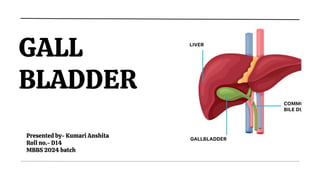 Roll Bladder GALL BLADDER SEMINAR anatomy mbbs 1st year | PDF