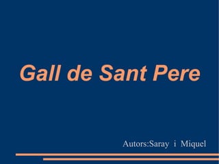 Gall de Sant Pere Autors:Saray  i  Miquel 