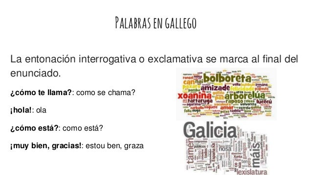 Gallego