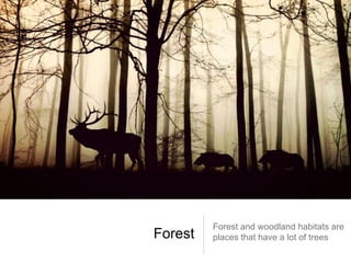 Forest
Forest and woodland habitats are
places that have a lot of trees
 
