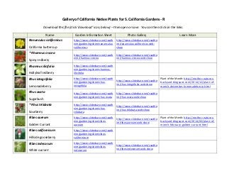 Gallery of California Native Plants for S. California Gardens - R
Download this file (click ‘download’ icon, below) – then open or save. You can then click on the links.
Name Garden Information Sheet Photo Gallery Learn More
Ranunculus californicus
California buttercup
http://www.slideshare.net/cvadh
eim/gardening-sheet-ranunculus-
californicus
http://www.slideshare.net/cvadhe
im/ranunculus-californicus-web-
show
* Rhamnus crocea
Spiny redberry
http://www.slideshare.net/cvadh
eim/rhamnus-crocea
http://www.slideshare.net/cvadhe
im/rhamnus-crocea-web-show
Rhamnus ilicifolia
Hollyleaf redberry
http://www.slideshare.net/cvadh
eim/gardening-sheet-rhamnus-
illicifolia
Rhus integrifolia
Lemonadeberry
http://www.slideshare.net/cvadh
eim/gardening-sheet-rhus-
integrifolia
http://www.slideshare.net/cvadhe
im/rhus-integrifolia-web-show
Plant of the Month: http://mother-natures-
backyard.blogspot.com/2014/12/plant-of-
month-december-lemonadeberry.html
Rhus ovata
Sugarbush
http://www.slideshare.net/cvadh
eim/gardening-sheet-rhus-ovata
http://www.slideshare.net/cvadhe
im/rhus-ovata-web-show
* Rhus trilobata
Sourberry
http://www.slideshare.net/cvadh
eim/gardening-sheet-rhus-
trilobata
http://www.slideshare.net/cvadhe
im/rhus-trilobata-web-show
Ribes aureum
Golden Currant
http://www.slideshare.net/cvadh
eim/gardening-sheet-ribes-
aureum
http://www.slideshare.net/cvadhe
im/ribes-aureum-web-show
Plant of the Month: http://mother-natures-
backyard.blogspot.com/2014/02/plant-of-
month-february-golden-currant.html
Ribes californicum
Hillside gooseberry
http://www.slideshare.net/cvadh
eim/gardening-sheet-ribes-
californicum
Ribes indecorum
White currant
http://www.slideshare.net/cvadh
eim/gardening-sheet-ribes-
indecorum
http://www.slideshare.net/cvadhe
im/ribes-indecorum-web-show
 