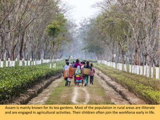 Quality Education in Assam | PPTX