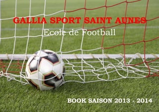 GALLIA SPORT SAINT AUNES
Ecole de Football

BOOK SAISON 2013 - 2014

 