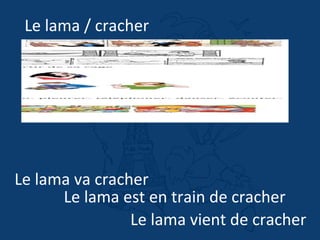 Le lama / cracher
Le lama va cracher
Le lama est en train de cracher
Le lama vient de cracher
 