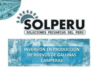 INVERSIÓN EN PRODUCCIÓN
DE HUEVOS DE GALLINAS
CAMPERAS
 