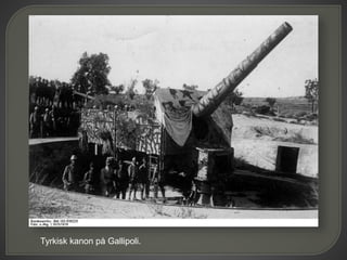 Tyrkisk kanon på Gallipoli.
 