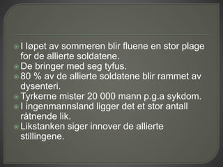  I løpet av sommeren blir fluene en stor plage
for de allierte soldatene.
 De bringer med seg tyfus.
 80 % av de allierte soldatene blir rammet av
dysenteri.
 Tyrkerne mister 20 000 mann p.g.a sykdom.
 I ingenmannsland ligger det et stor antall
råtnende lik.
 Likstanken siger innover de allierte
stillingene.
 
