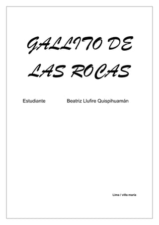 GALLITO DE
LAS ROCAS
Estudiante Beatriz Llufire Quispihuamán
Lima / villa maría
 