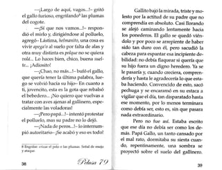 Gallito jazz pelusa 79