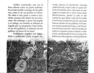 Gallito jazz pelusa 79