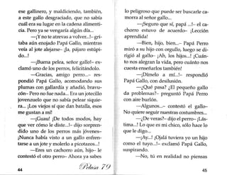 Gallito jazz pelusa 79