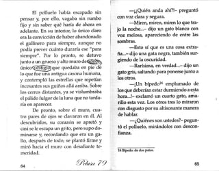 Gallito jazz pelusa 79