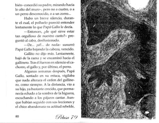 Gallito jazz pelusa 79