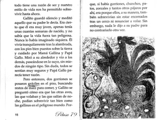 Gallito jazz pelusa 79