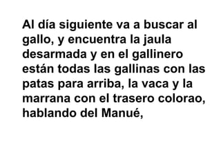 Al día siguiente va a buscar al
gallo, y encuentra la jaula
desarmada y en el gallinero
están todas las gallinas con las
patas para arriba, la vaca y la
marrana con el trasero colorao,
hablando del Manué,
 