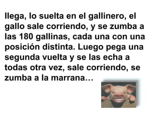 llega, lo suelta en el gallinero, el
gallo sale corriendo, y se zumba a
las 180 gallinas, cada una con una
posición distinta. Luego pega una
segunda vuelta y se las echa a
todas otra vez, sale corriendo, se
zumba a la marrana…
 