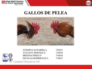 GALLOS DE PELEA
YESMINA SANABRIA L 710653
YULIANY JIMENEZ G 710654
BRENDA PÉREZ P 710630
NICOLAS RODRÍGUEZ L 710627
 