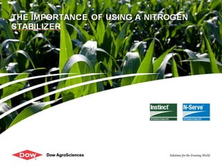 The Importance of Nitrogen Stabilization