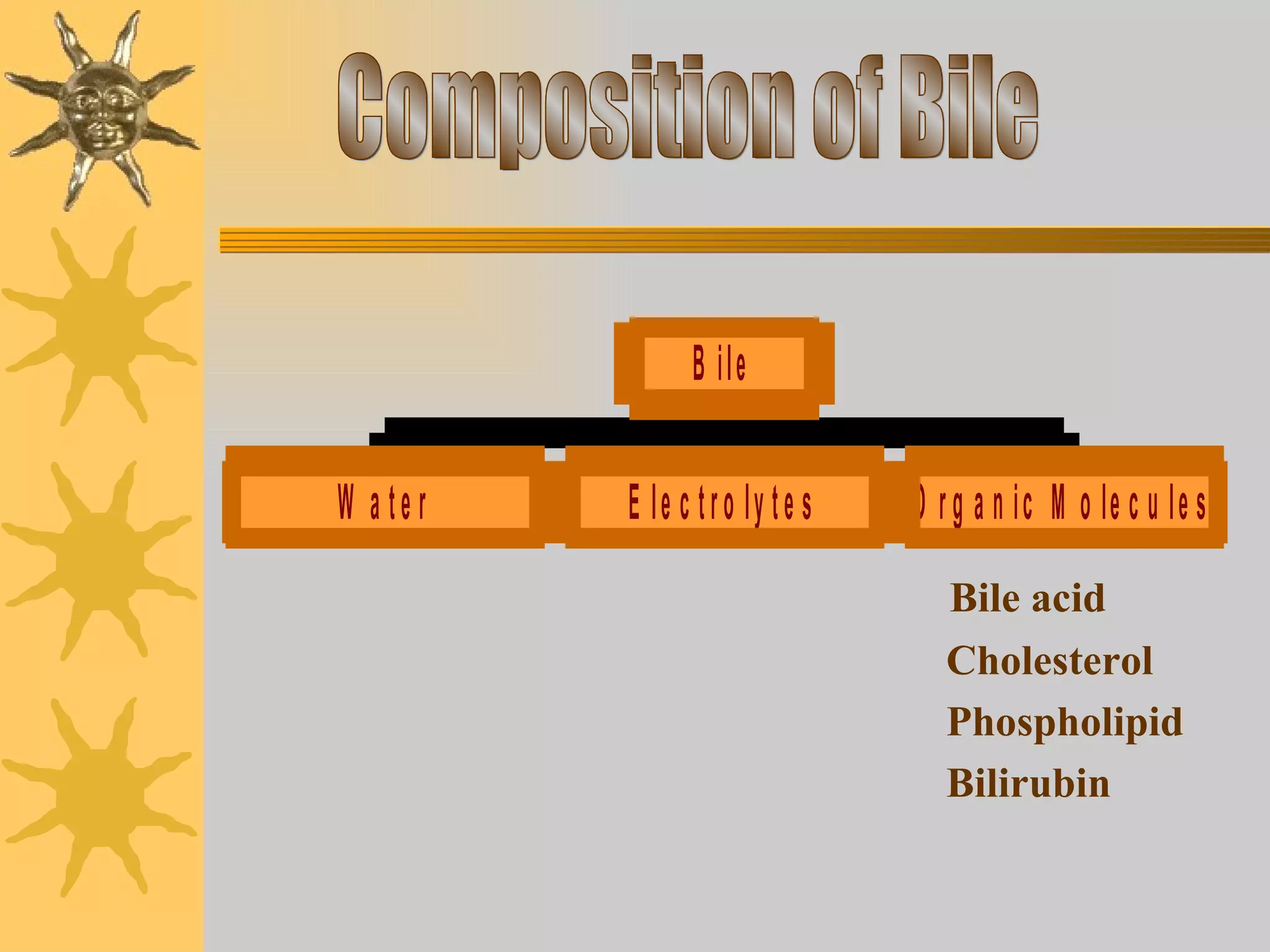 Bile acid  Cholesterol Phospholipid  Bilirubin Composition of Bile 
