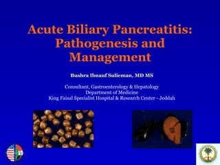 Acute Biliary Pancreatitis: Pathogenesis and Management Bushra Ibnauf Sulieman, MD MS Consultant, Gastroenterology & Hepatology Department of Medicine King Faisal Specialist Hospital & Research Center - Jeddah 