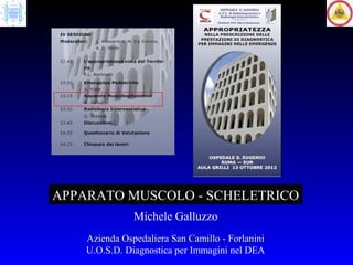 APPARATO MUSCOLO - SCHELETRICO
               Michele Galluzzo
    Azienda Ospedaliera San Camillo - Forlanini
    U.O.S.D. Diagnostica per Immagini nel DEA
 