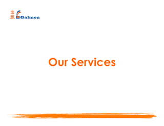 Our Services
 