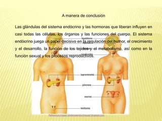 A manera de conclusión
Las glándulas del sistema endócrino y las hormonas que liberan influyen en
casi todas las células, los órganos y las funciones del cuerpo. El sistema
endócrino juega un papel decisivo en la regulación del humor, el crecimiento
y el desarrollo, la función de los tejidos y el metabolismo, así como en la
función sexual y los procesos reproductivos.
Referencia imagen elsitemaendocrinoupel.blogspot.com
 
