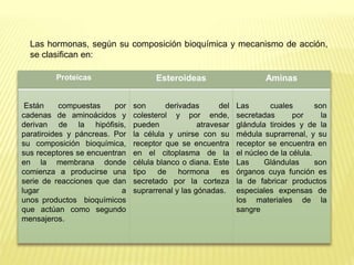 Proteicas Esteroideas Aminas
Están compuestas por
cadenas de aminoácidos y
derivan de la hipófisis,
paratiroides y páncreas. Por
su composición bioquímica,
sus receptores se encuentran
en la membrana donde
comienza a producirse una
serie de reacciones que dan
lugar a
unos productos bioquímicos
que actúan como segundo
mensajeros.
son derivadas del
colesterol y por ende,
pueden atravesar
la célula y unirse con su
receptor que se encuentra
en el citoplasma de la
célula blanco o diana. Este
tipo de hormona es
secretado por la corteza
suprarrenal y las gónadas.
Las cuales son
secretadas por la
glándula tiroides y de la
médula suprarrenal, y su
receptor se encuentra en
el núcleo de la célula.
Las Glándulas son
órganos cuya función es
la de fabricar productos
especiales expensas de
los materiales de la
sangre
Las hormonas, según su composición bioquímica y mecanismo de acción,
se clasifican en:
 