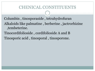 CHENICAL CONSTITUENTS
Columbin , tinosporaside , tetrahydrofuran
Alkaloids like palmatine , berberine , jactrorhizine
,tembeterine.
Tinocordifolioside , cordifolioside A and B
Tinosporic acid , tinosporal , tinosporone.
 