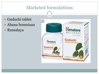 Marketed formulations
 Guduchi tablet
 Abana bomnisan
 Rumalaya
 