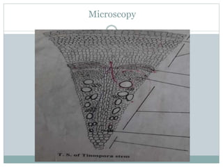 Microscopy
 