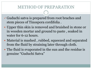 METHOD OF PREPARATION
 Guduchi satva is prepared from root braches and
stem pieces of Tinospora cordifolia .
 Upper thin skin is removed and bruished in stone or
in wooden mortar and ground to paste , soaked in
water for 6-12 hours.
 Material is mashed , rubbed, squeezed and separated
from the fluid by straining later through cloth.
 The fluid is evaporated in the sun and the residue is
genuine “Guduchi Satva”
 