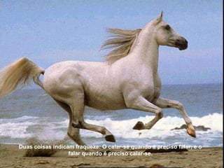 Duas coisas indicam fraqueza: O calar-se quando é preciso falar, e o falar quando é preciso calar-se. 