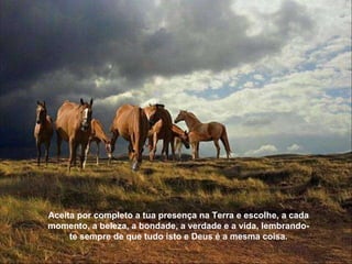 Aceita por completo a tua presença na Terra e escolhe, a cada momento, a beleza, a bondade, a verdade e a vida, lembrando-te sempre de que tudo isto e Deus é a mesma coisa. 