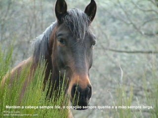 Mantém a cabeça sempre fria, o coração sempre quente e a mão sempre larga. 