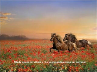 Não te armes em vítima e não te comportes como um salvador.
 