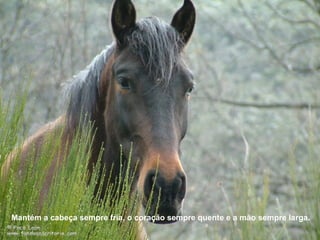 Mantém a cabeça sempre fria, o coração sempre quente e a mão sempre larga.
 
