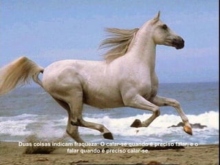 Duas coisas indicam fraqueza: O calar-se quando é preciso falar, e o
                  falar quando é preciso calar-se.
 