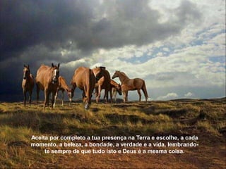 Aceita por completo a tua presença na Terra e escolhe, a cada
momento, a beleza, a bondade, a verdade e a vida, lembrando-
     te sempre de que tudo isto e Deus é a mesma coisa.
 