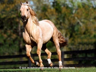 O que os outros pensam de ti não é da tua conta.
 