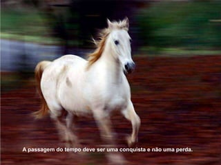 A passagem do tempo deve ser uma conquista e não uma perda.
 