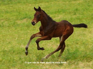 O que não te mata torna-te mais forte.
 