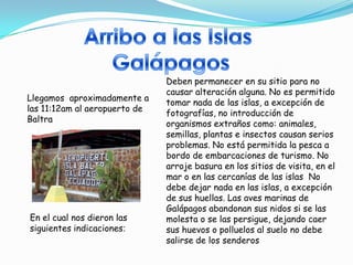 Deben permanecer en su sitio para no
                               causar alteración alguna. No es permitido
Llegamos aproximadamente a
                               tomar nada de las islas, a excepción de
las 11:12am al aeropuerto de
                               fotografías, no introducción de
Baltra
                               organismos extraños como: animales,
                               semillas, plantas e insectos causan serios
                               problemas. No está permitida la pesca a
                               bordo de embarcaciones de turismo. No
                               arroje basura en los sitios de visita, en el
                               mar o en las cercanías de las islas No
                               debe dejar nada en las islas, a excepción
                               de sus huellas. Las aves marinas de
                               Galápagos abandonan sus nidos si se las
En el cual nos dieron las      molesta o se las persigue, dejando caer
siguientes indicaciones:       sus huevos o polluelos al suelo no debe
                               salirse de los senderos
 