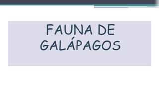 FAUNA DE
GALÁPAGOS
 