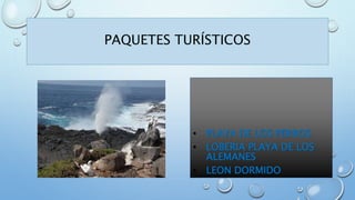 • PLAYA DE LOS PERROS
• LOBERIA PLAYA DE LOS
ALEMANES
• LEON DORMIDO
PAQUETES TURÍSTICOS
 