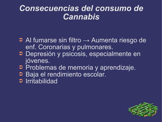 Consecuencias del consumo de Cannabis Al fumarse sin filtro -> Aumenta riesgo de enf. Coronarias y pulmonares. Depresión y psicosis, especialmente en jóvenes. Problemas de memoria y aprendizaje. Baja el rendimiento escolar. Irritabilidad  