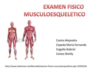 Castro Alejandra
Cepeda Maria Fernanda
Cogollo Gabriel
Coneo Sheilly
http://www.slideshare.net/MariaA6/examen-fisico-musculoesqueletico-ppt-10391630
 