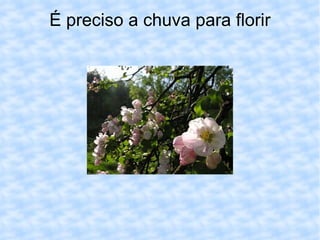 É preciso a chuva para florir 